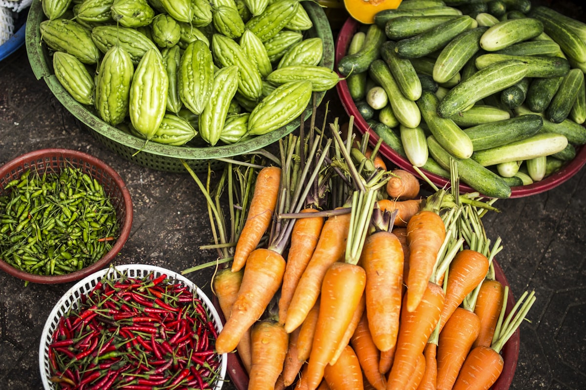 Green Agriculture Field Sustainability